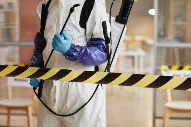 Professional Sewage Cleanup technician working in Cabazon, CA
